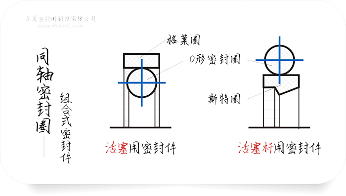 同軸組合密封件圈截面結構平面圖（圖1-1）
