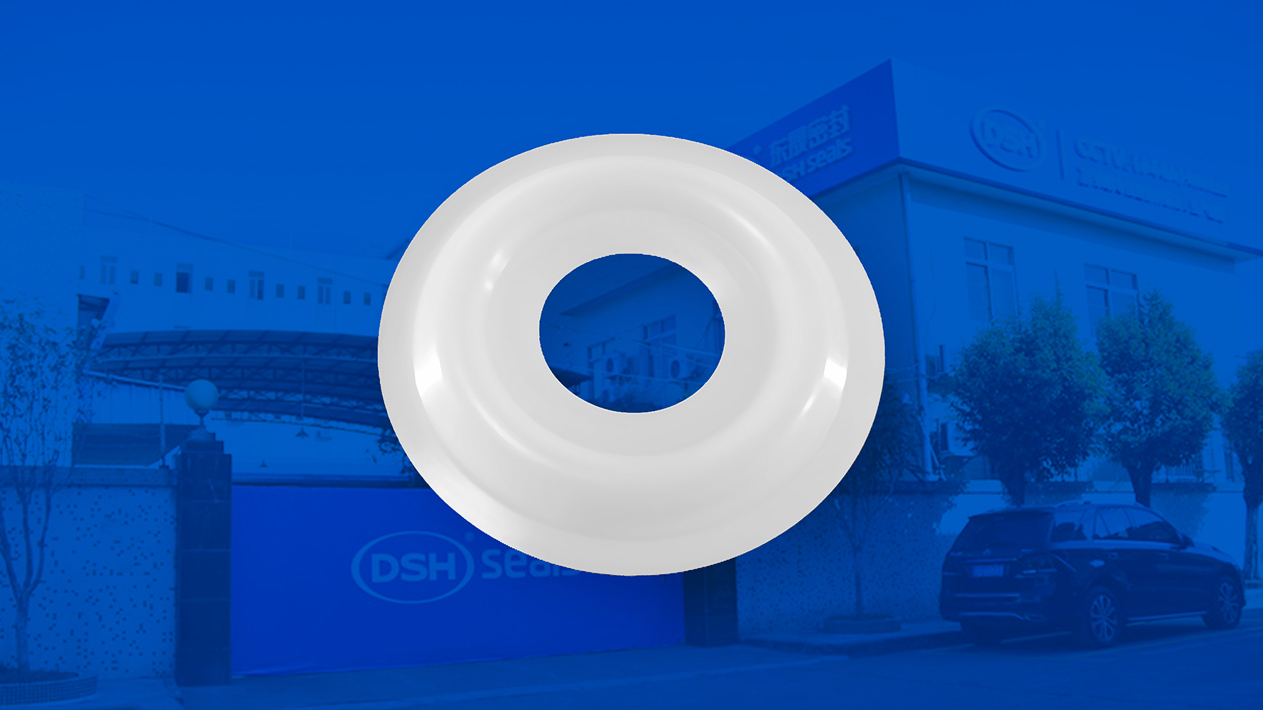 米頓羅計(jì)量泵膜片i海報(bào) （又叫隔膜、密封件、密封圈、油封） (1)