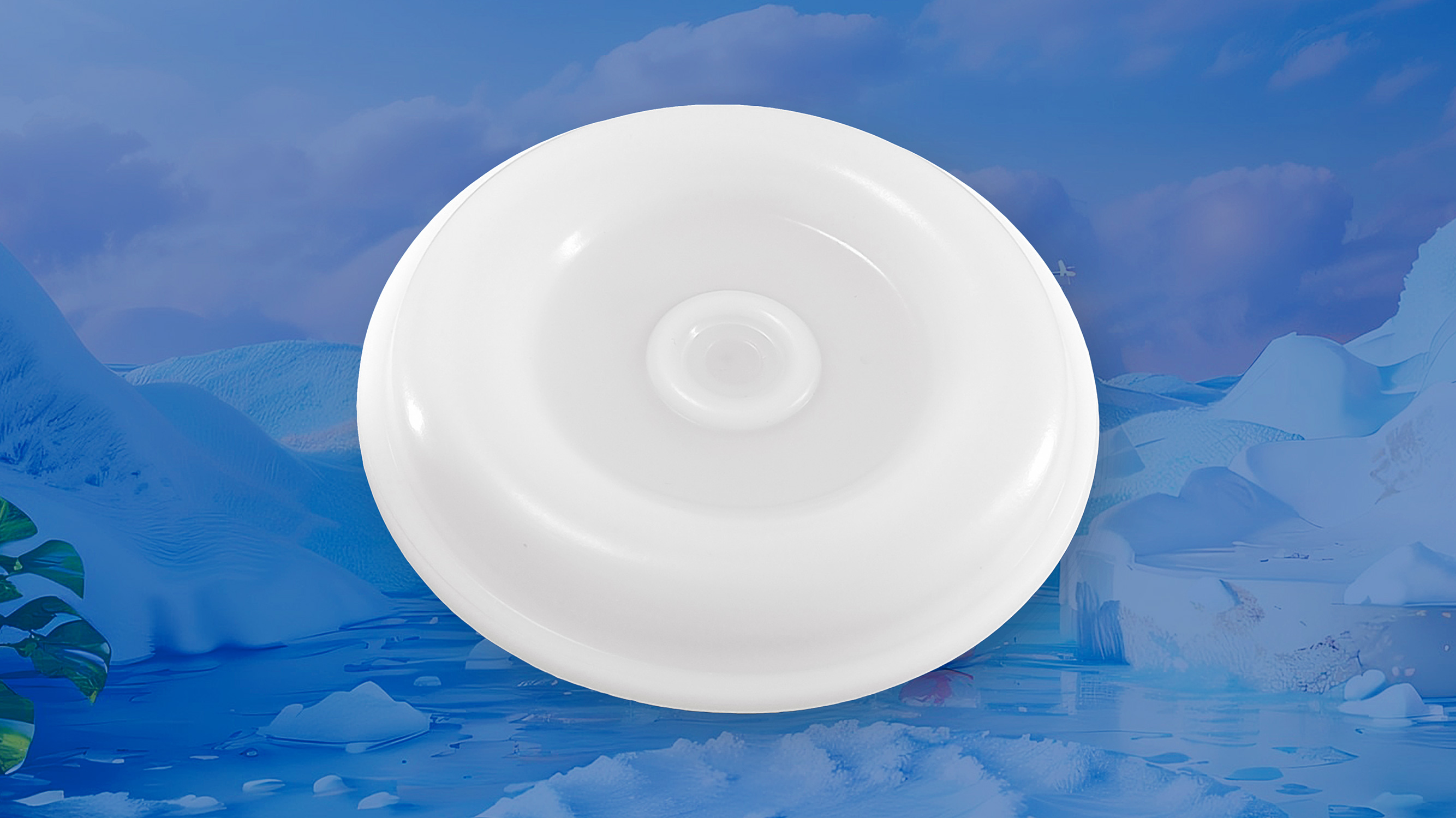 氣動(dòng)隔膜泵隔膜片16 (1)